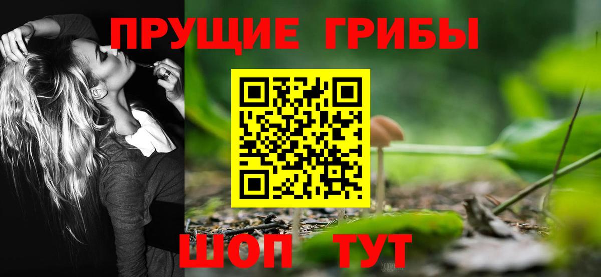 Галлюциногенные грибы Cubensis  Вход с VPN  Малгобек 